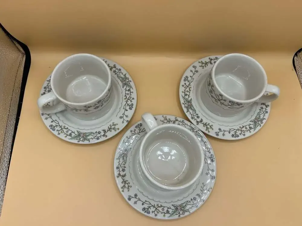 Farberware Fine China Wellesley 486 Teacup and Saucer Set